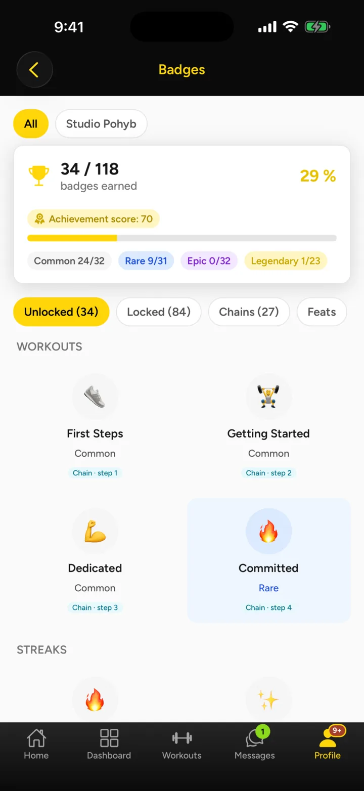 Badges and rarity tiers in the app